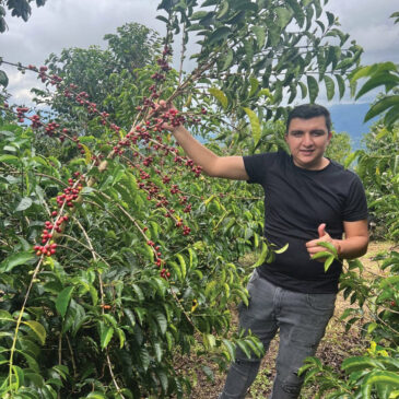 Colombia Finca El Diviso