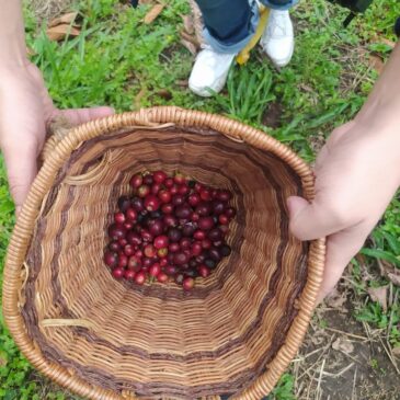 Colombia Las Acacias